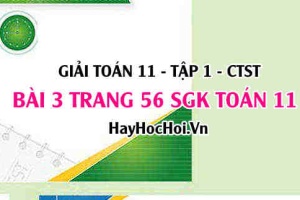 Giải bài 3 trang 56 Toán 11 tập 1 SGK Chân trời sáng tạo